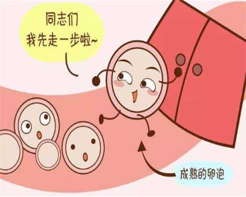 北京代怀代怀价格,北京供卵公司有哪些？附2023北京试管助孕医院排名！