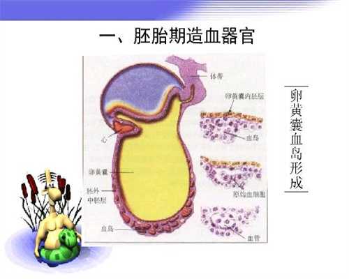 北京找一个代孕女孩：运城玛丽医院：女性盆腔炎患者要如何做好护理