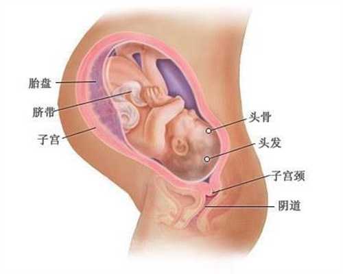 北京代孕的孩子怎么落户：幼儿安全用电小常识